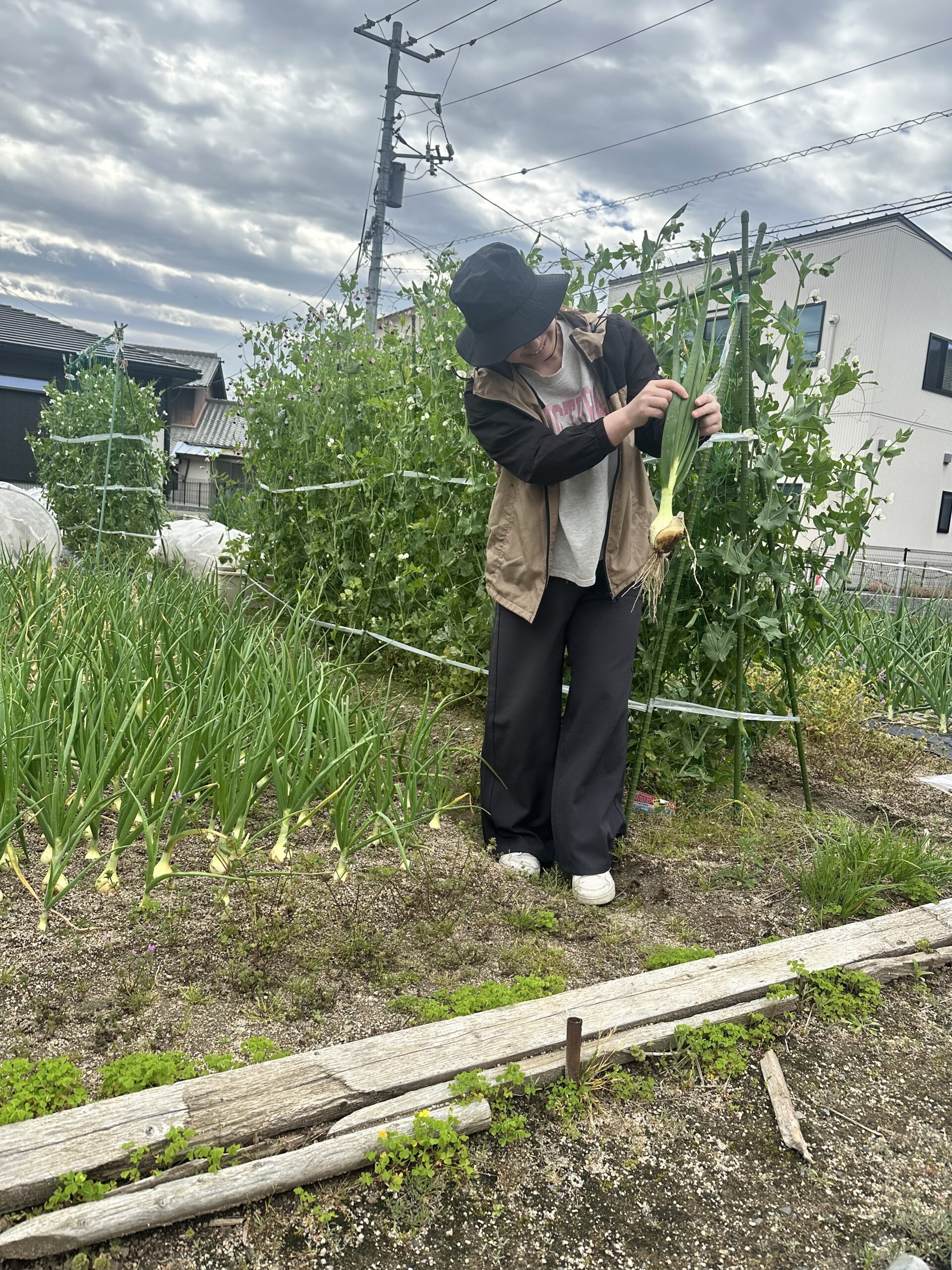 スナップエンドウと玉ねぎ