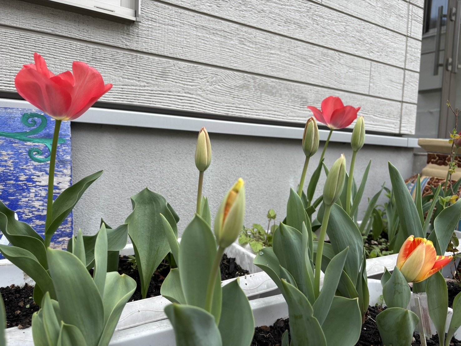 入園・進級のつどい