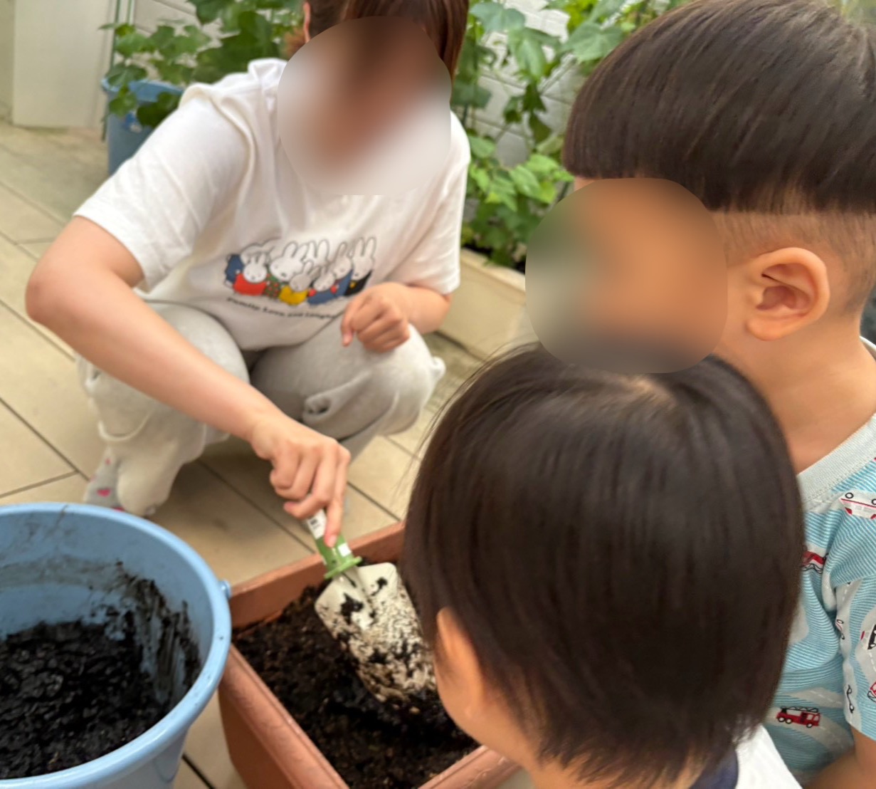 ラディッシュ